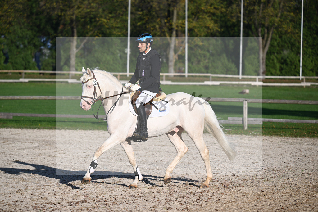 Kat-Nr. 2 Candidus von Nuex_Boettcher_44240985 | hf-fotografie - Realisiert mit Pictrs.com