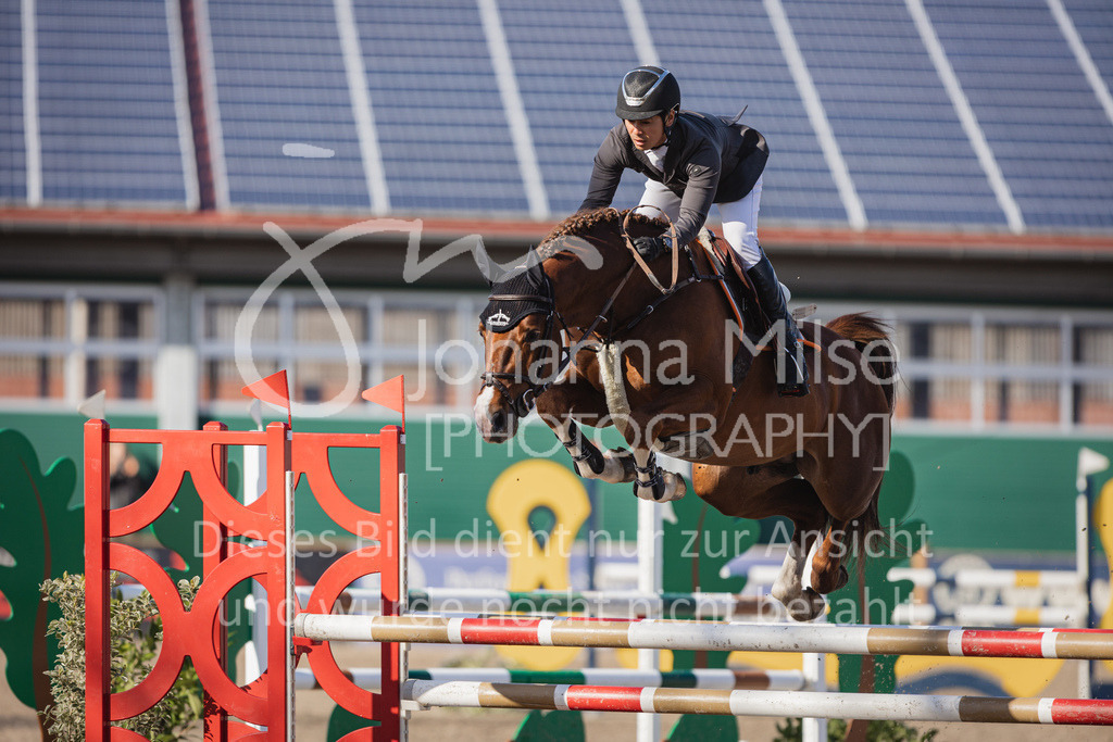 230411_Mühlen_04SprPf-L-465 | Deine schönsten Turniermomente als professionelle Fotos! Entdecke hochwertige Pferdesport-Fotografie im Online-Shop. Jetzt Fotos finden & bestellen!