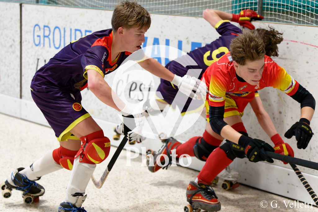 DSC_6642 | Velletri Photo