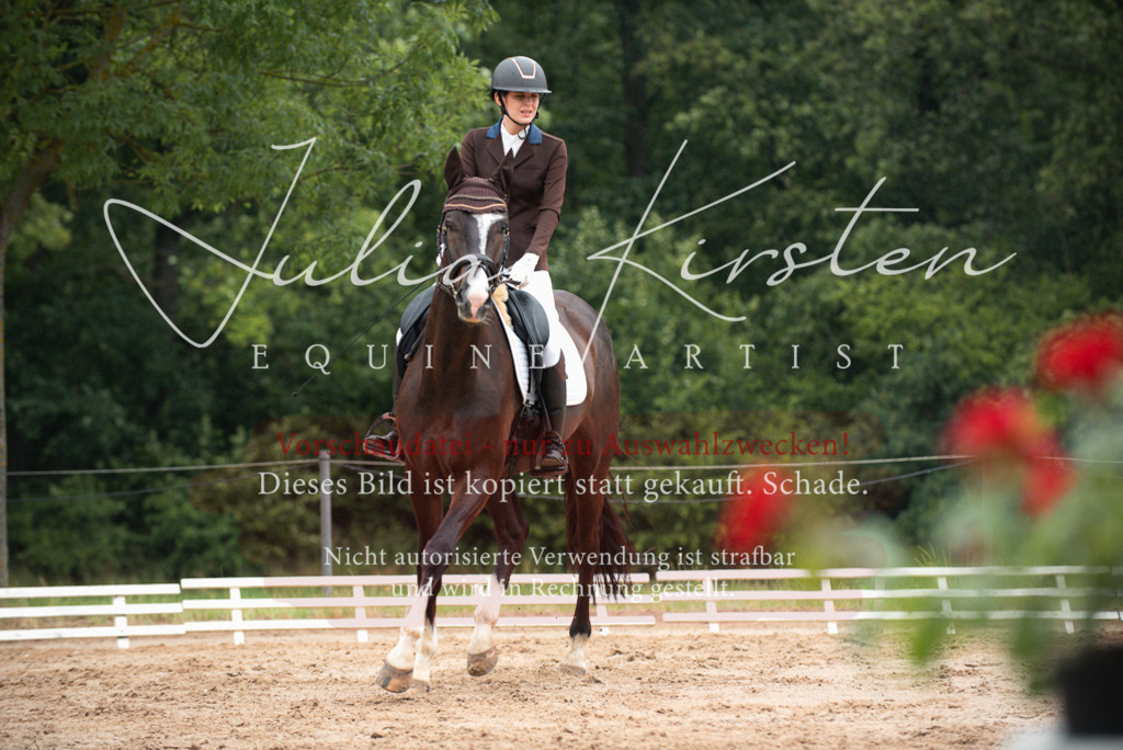 DSC_9744 | Pferde- und Turnierfotografie in Westsachsen. Pferdeportraits, Auftragszeichnungen und intuitive Kunst.