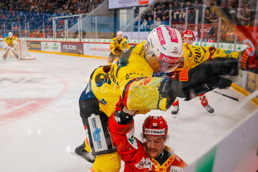 EHCB vs SCB 20260110_wb-3188 | Sportbilder, Sportfotograf, Hochzeits- und Eventfotografin, Flugshows, Portraits und Tiershooting, Aviation, Downhill, Nationalleague, Swissleague, International