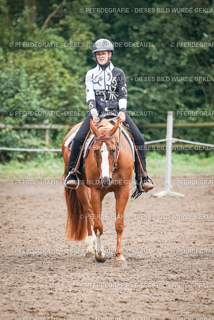 DSC02040 | Pferdegrafie