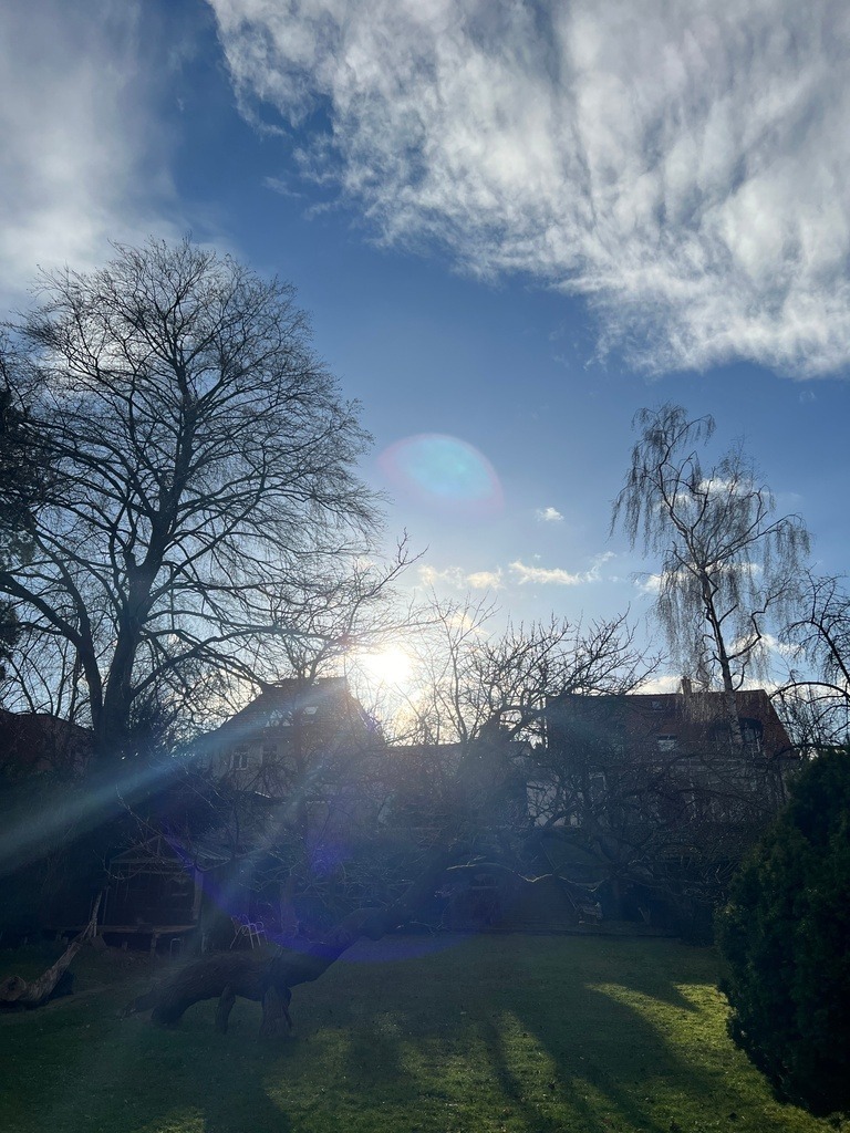 IMG_9557 | ace - Realisiert mit Pictrs.com