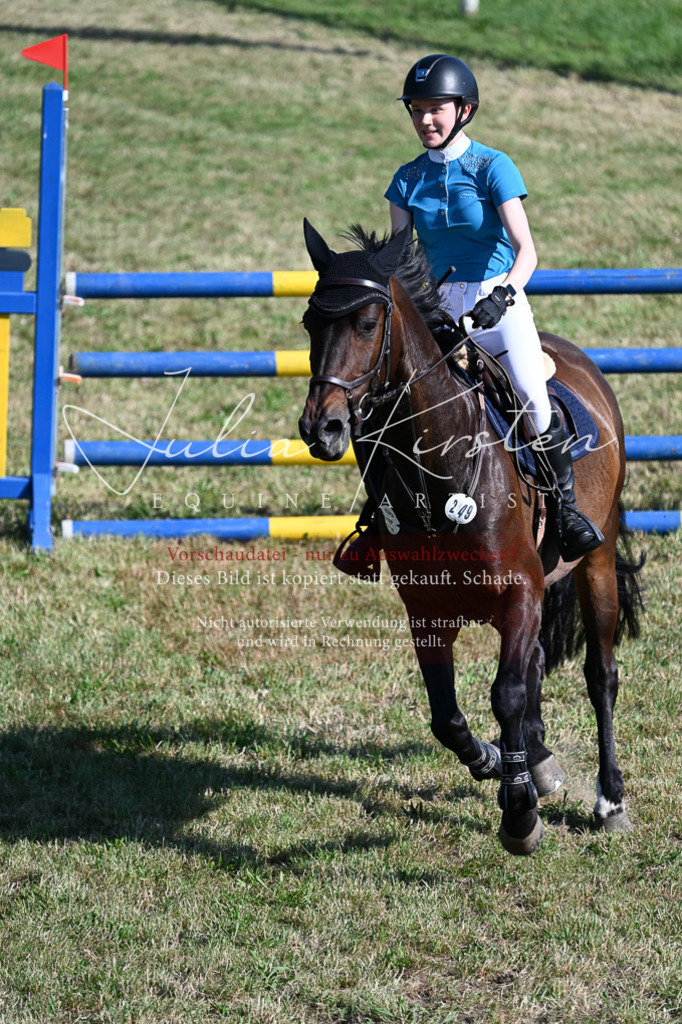 DSC_2363 | Pferde- und Turnierfotografie in Westsachsen. Pferdeportraits, Auftragszeichnungen und intuitive Kunst.