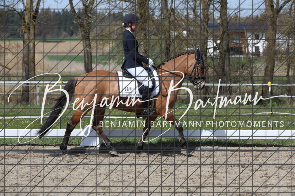 AZ2A5476 | Benjamin Bartmann Photomoments