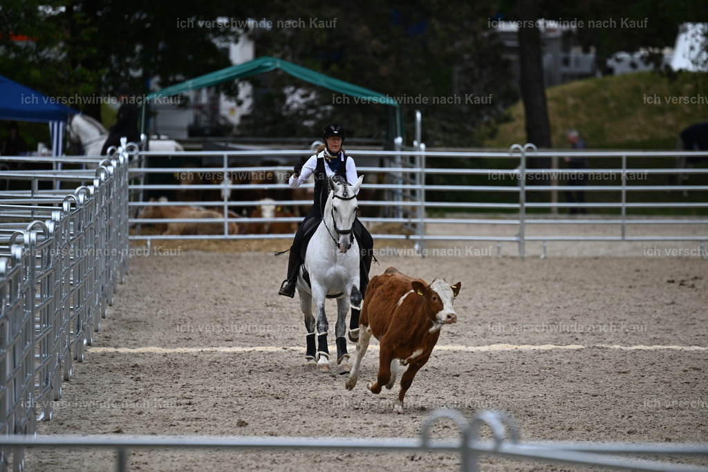 PI26_COW_Sara Landvogt226_7607.JPG | working equitationturnier fotograf videograf stoibphotography marixx film working equitation deutschland reitsport turnierfotografie eventfotografie equestrian events