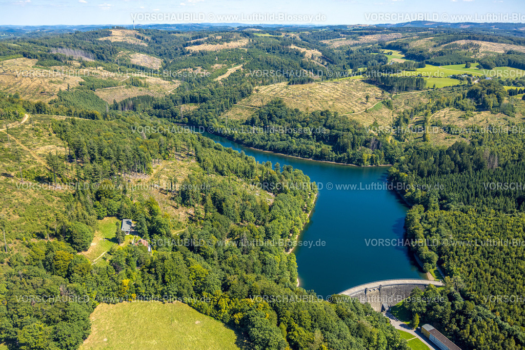 Kierspe250813384 | Luftbild, Jubachtalsperre mit Staudamm, Waldgebiet mit Waldschäden, Vollme, Kierspe, Sauerland, Nordrhein-Westfalen, Deutschland