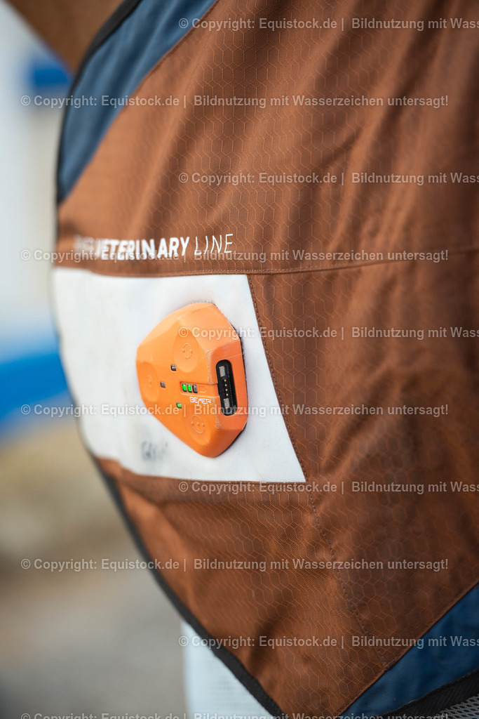 20200928_Bemer_Decke_0010 | equistock