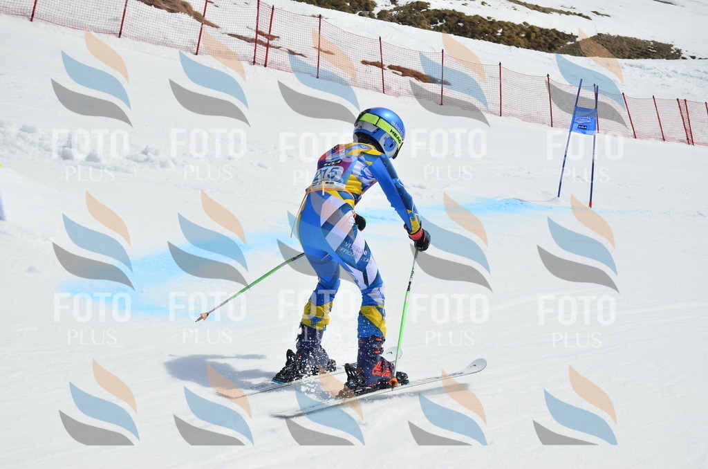 _ELE1509 | holidayphoto