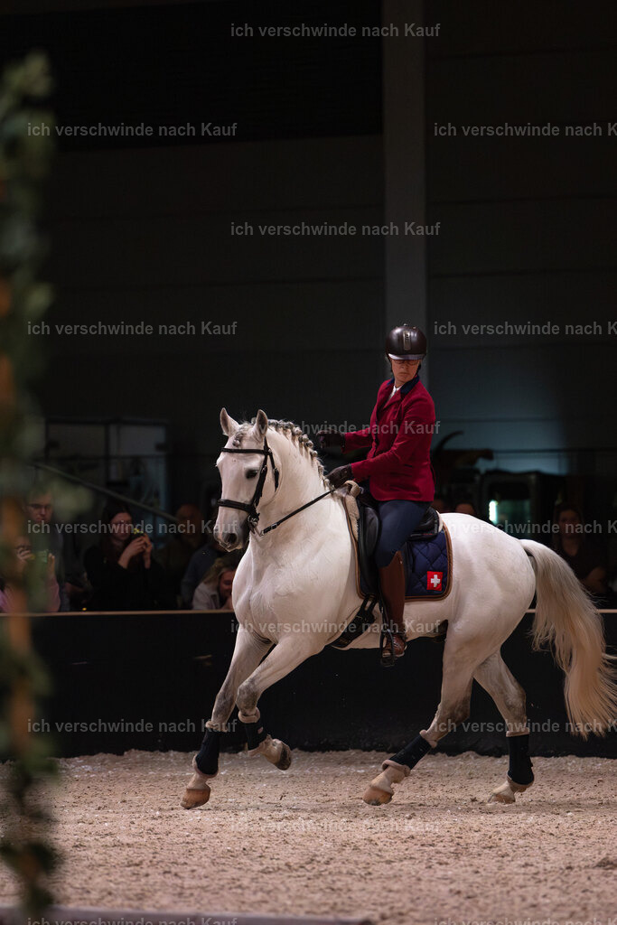 JoseraCup-102 | working equitationturnier fotograf videograf stoibphotography marixx film working equitation deutschland reitsport turnierfotografie eventfotografie equestrian events