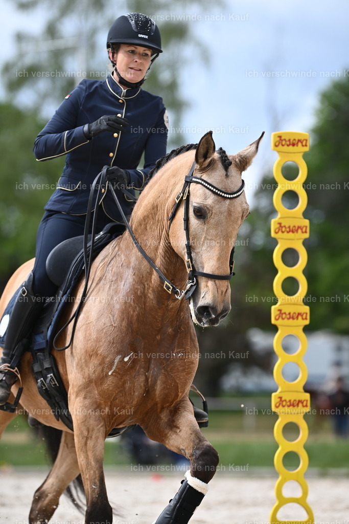 PI26_ST_Sara_Landvogt226_2523.JPG | working equitationturnier fotograf videograf stoibphotography marixx film working equitation deutschland reitsport turnierfotografie eventfotografie equestrian events
