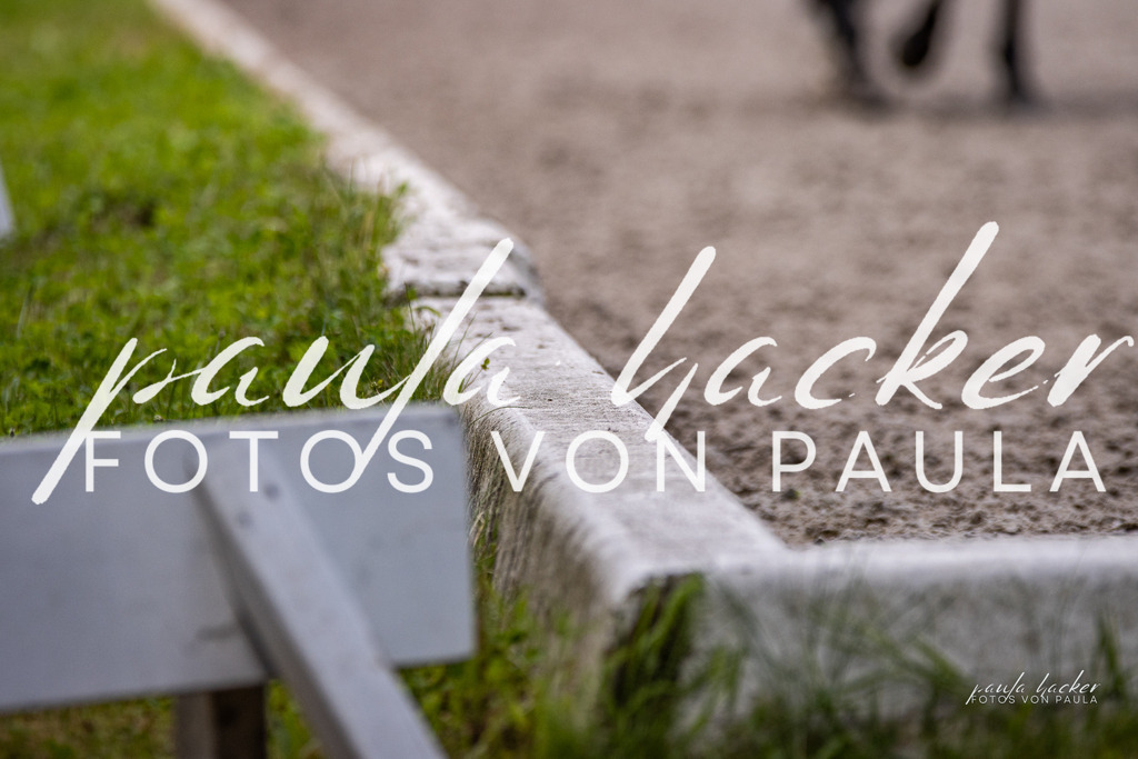 IMG_8120 | Erleben Sie dynamische Sport- und emotionale Tierfotografie in Süddeutschland mit Fotos von Paula. Spezialisiert auf Pferde- und Hundefotografie sowie Sportevents. Kontaktieren Sie mich für einzigartige und ausdrucksstarke Bilder Ihrer besonderen Momente.