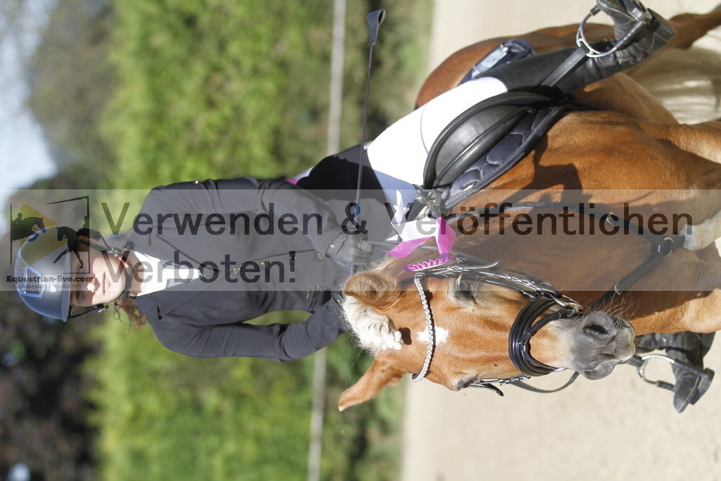 _MG_4404 | equestrian-live-com