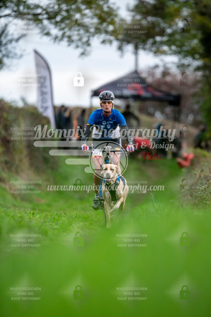 TSB_2023_E8_Bike-16 | PayLife