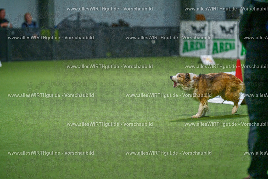 7R509721 | Professionelle Tierfotografie in Mönchengladbach von Daniel Wirth (allesWIRTHgut). Liebevolle & natürliche Bilder von Hunden & Katzen für unvergessliche Erinnerungen.