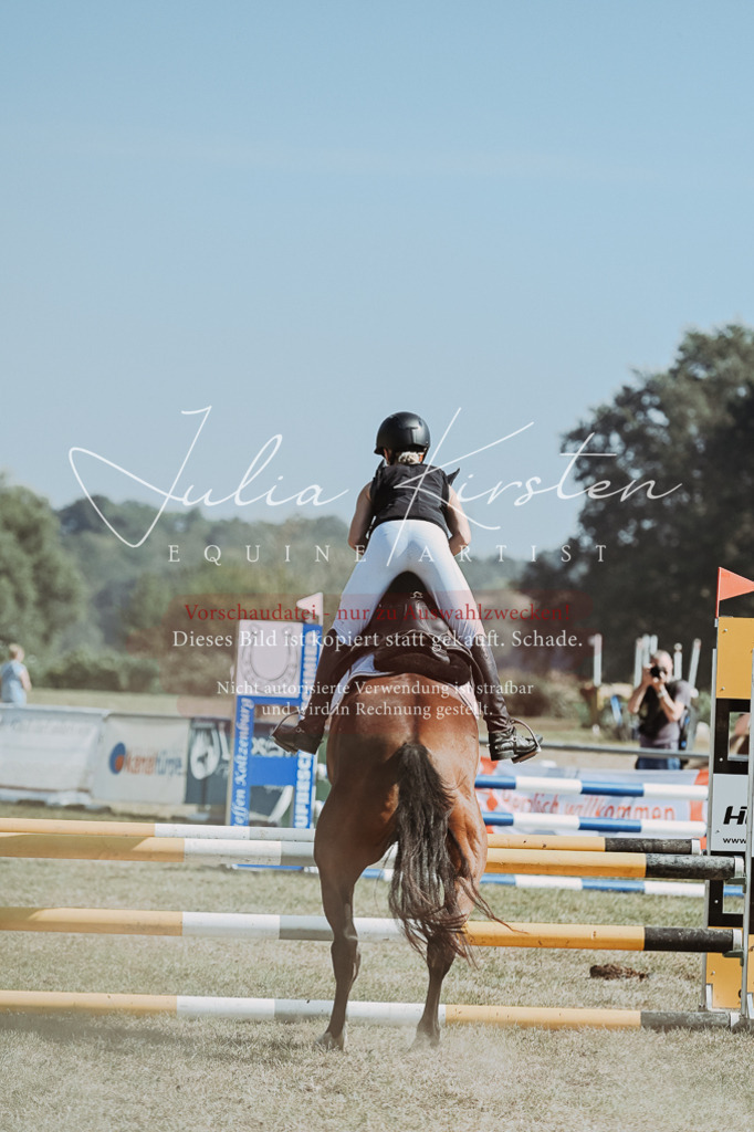 DSC_9563 | Pferde- und Turnierfotografie in Westsachsen. Pferdeportraits, Auftragszeichnungen und intuitive Kunst.