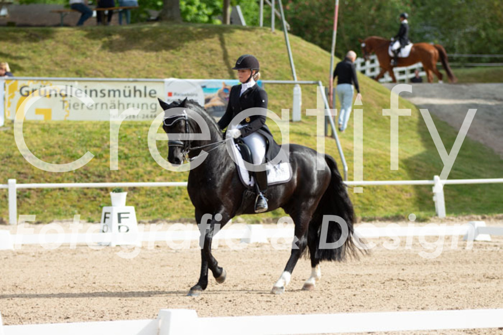 IMG_7984 | Creatify Fotografie