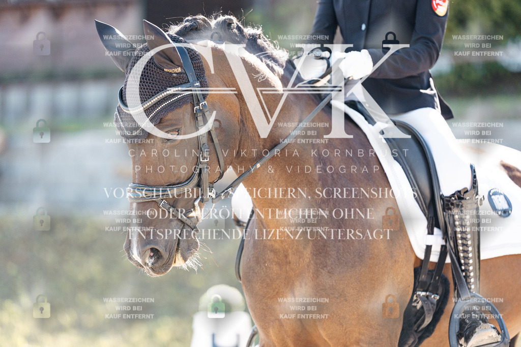 CK908551 | Turnierfotografie Pferdefotografie Trier Rheinland-Pfalz Pferdesport Reitsport Tierfotografie Sportfotografie Pferdevideo Pferdevideografie Equestrianvideography equestrianphotography  - Realisiert mit Pictrs.com
