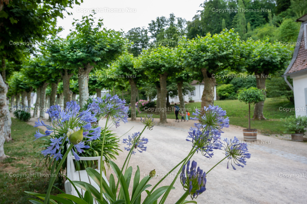 DSC_4482 | Der Staatspark Fürstenlager in Bensheim Auerbach, an der hessischen Bergstraße- ist ein wunderschöner Landschaftspark nach englischen Vorbild. Es war die Sommerresidenz der Darmstädter Fürstenfamilie die hier das "einfache Landleben" genossen. Zu jeder Jahreszeit kann man das Fürstenlager als Ausflugsziel empfehlen. Im Herrenhaus ist eine Gastronomie untergebracht. Im Sommer findet auf der Bühne vor der großen Wiese ein Opern-Air statt, 