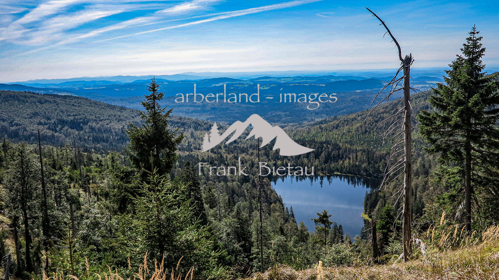 IMG_1567-2 | der Rachelsee