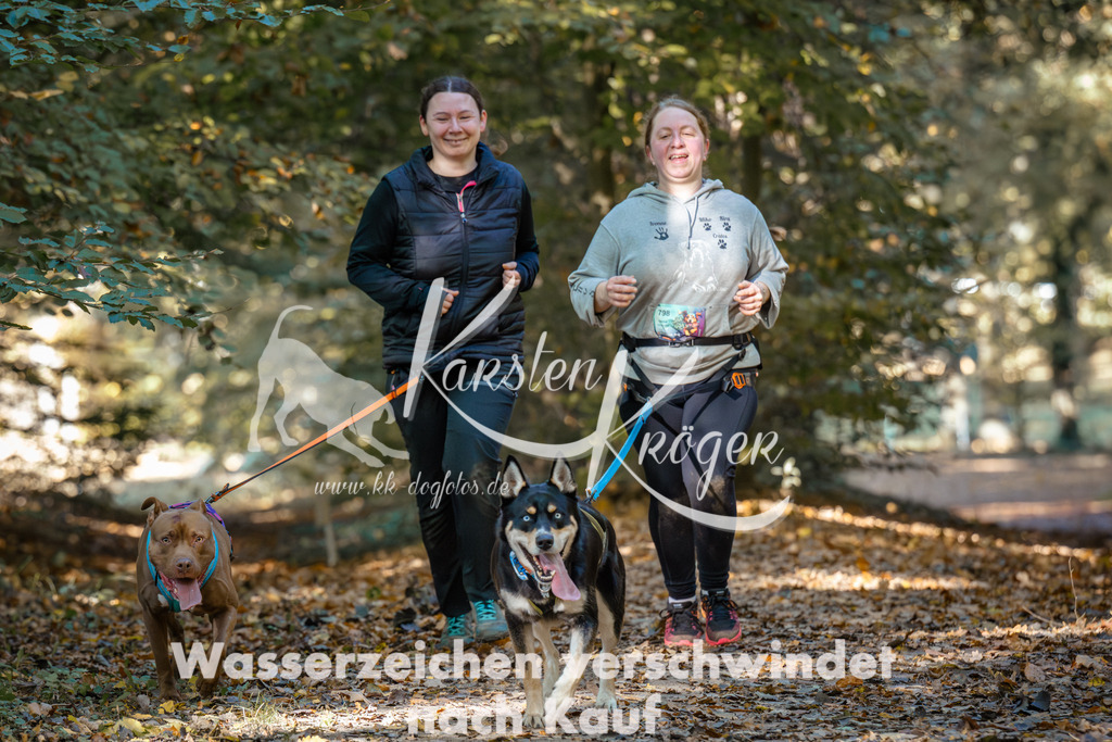 1114_ZZ91842 | kk-dogfotos