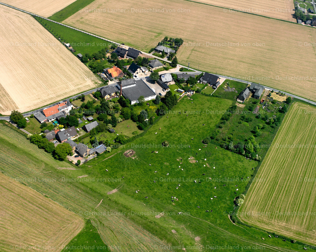 2616260 | zwischen Speldrop und Esserden