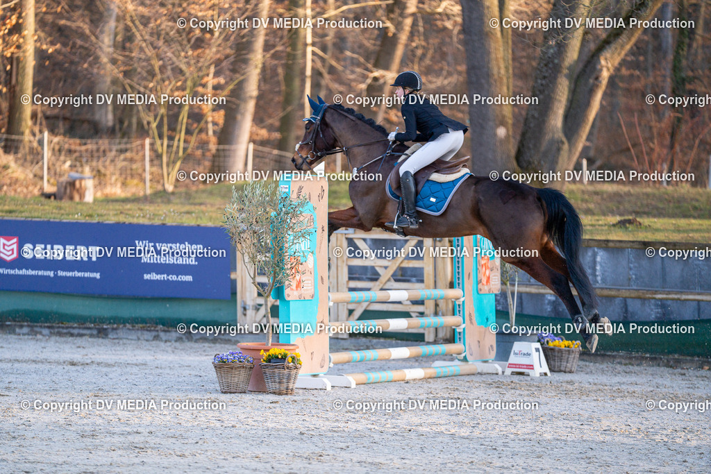 DSC-239 | dv-media-shop - Realisiert mit Pictrs.com