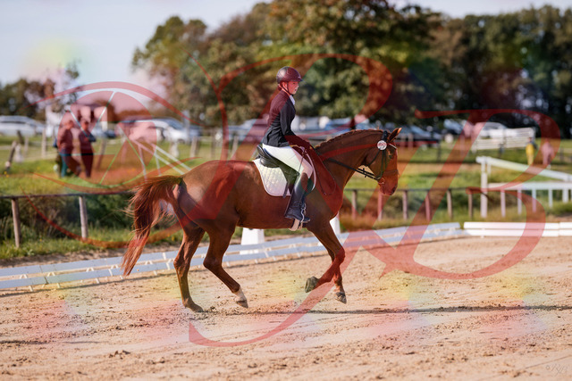 2026_10_03_Siefer-Hof_114422_Z81_86960838 | Professionelle Reitsport-, Turnier- und Eventfotografie von Robert Broda. Galerien mit ausgewählten und bearbeiteten Bildern direkt online ansehen und bestellen.