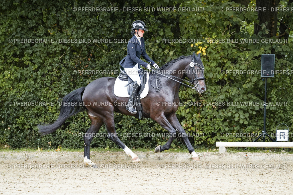 DSC07094 | Pferdegrafie