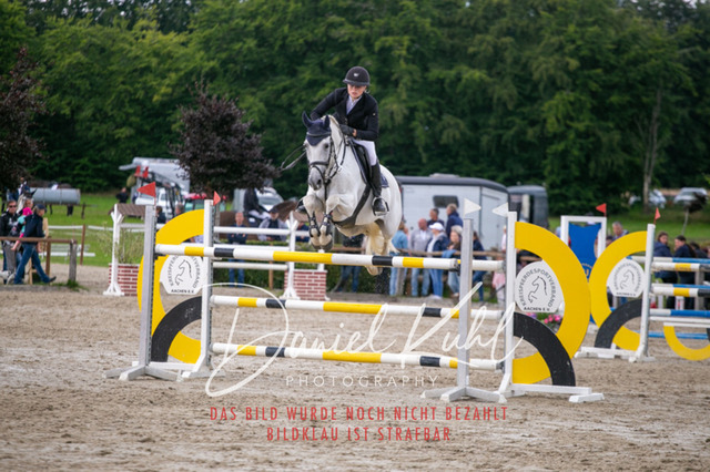 IMG_5771 | Turniersportfotografie; Pferdefotografie; Dressurfotografie
