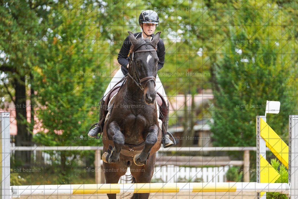 20221009-FAH08851 | Diessen am Ammersee, 2022, Dressur- und Springturnier, Reitsportbilder, Turnierfotografen Bayern, Pferdefotografen, Fotoagentur Herrmann, Turnierbilder