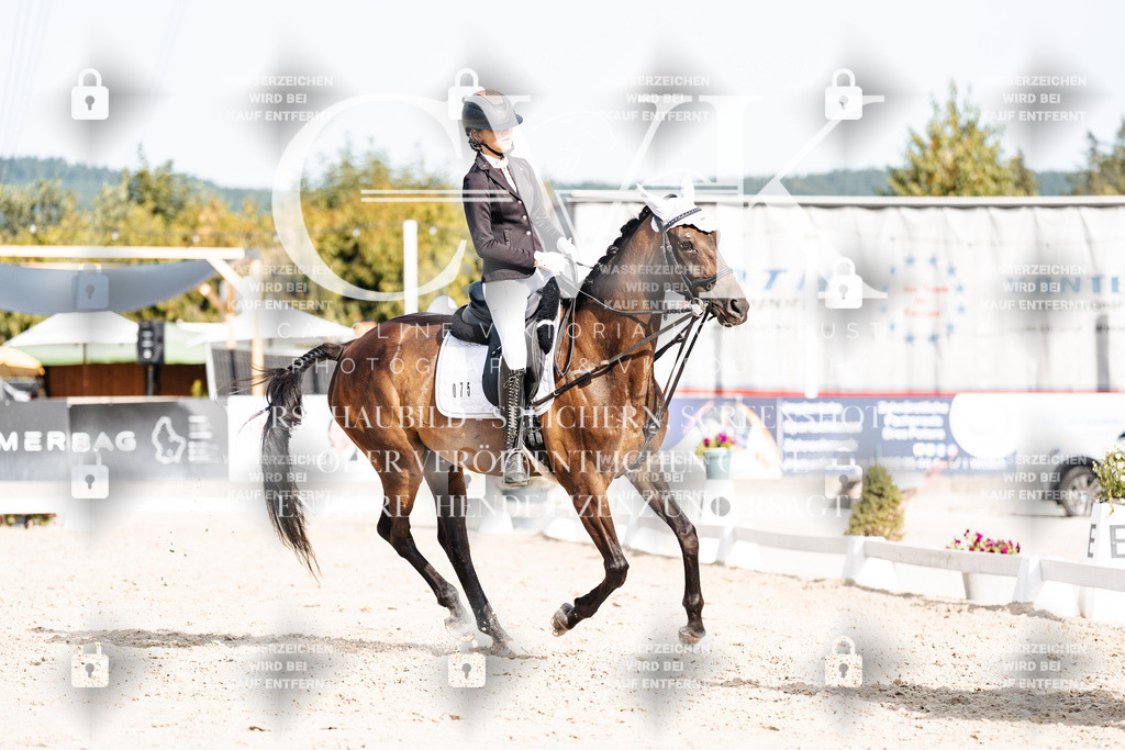 CK905280 | Turnierfotografie Pferdefotografie Trier Rheinland-Pfalz Pferdesport Reitsport Tierfotografie Sportfotografie Pferdevideo Pferdevideografie Equestrianvideography equestrianphotography  - Realisiert mit Pictrs.com