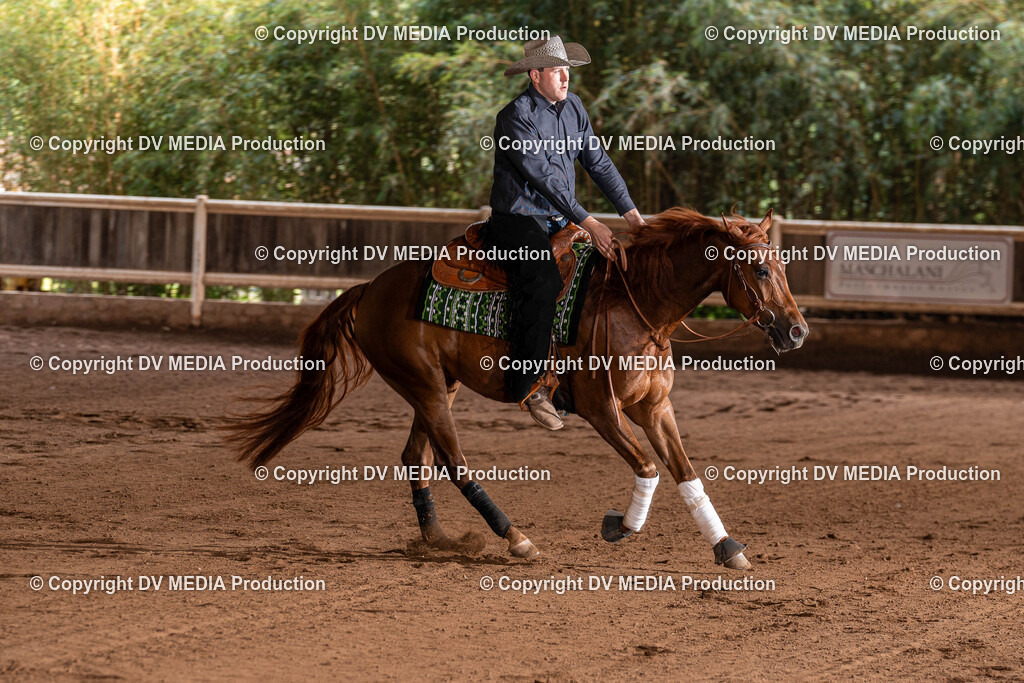 Erbach Tag 2-801 | dv-media-shop - Realisiert mit Pictrs.com