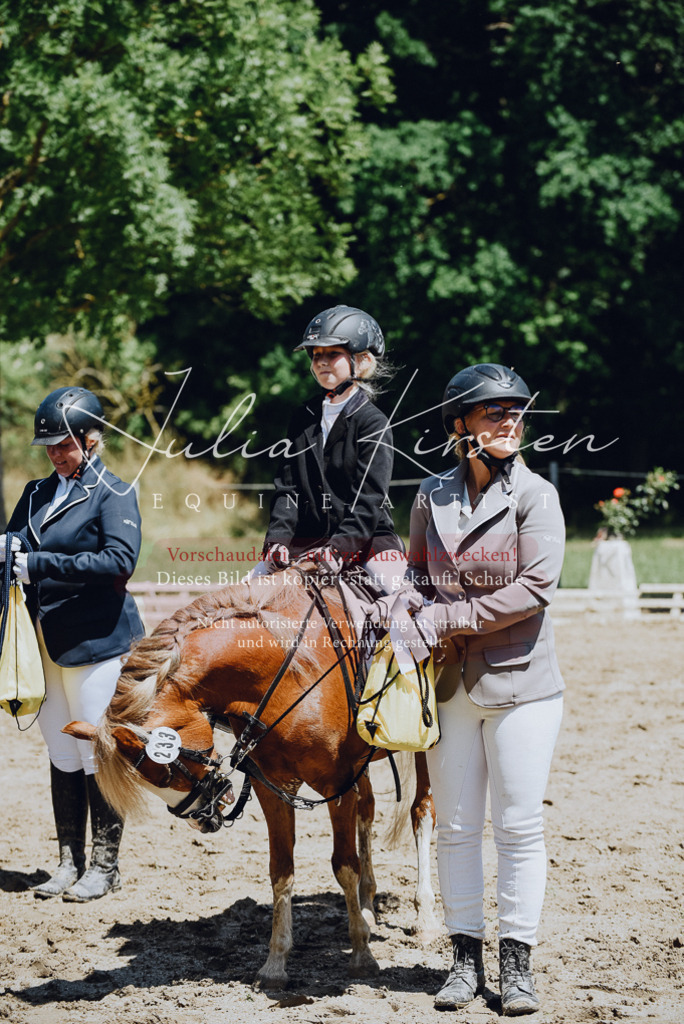 DSC_2341 | Pferde- und Turnierfotografie in Westsachsen. Pferdeportraits, Auftragszeichnungen und intuitive Kunst.