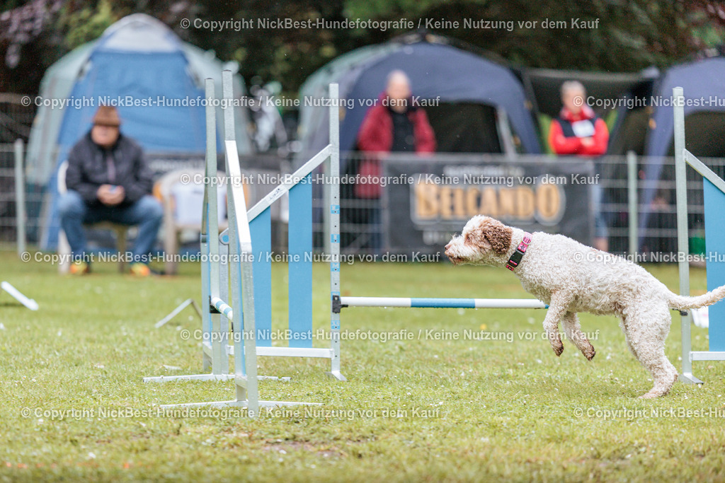RO-Blumenthal-2026-Nickbest-Hundefotografie-3668 | Dein Hund! Dein Moment! Deine Erinnerungen! Hundefotografie in Bremen Blumenthal. Ich fange die besonderen Momente deines Vierbeiners ein – ob Indoor mit Blitzanlage oder in der freien Natur. Sicher dir dein Moment und dein Termin für eure Erinnerungen.