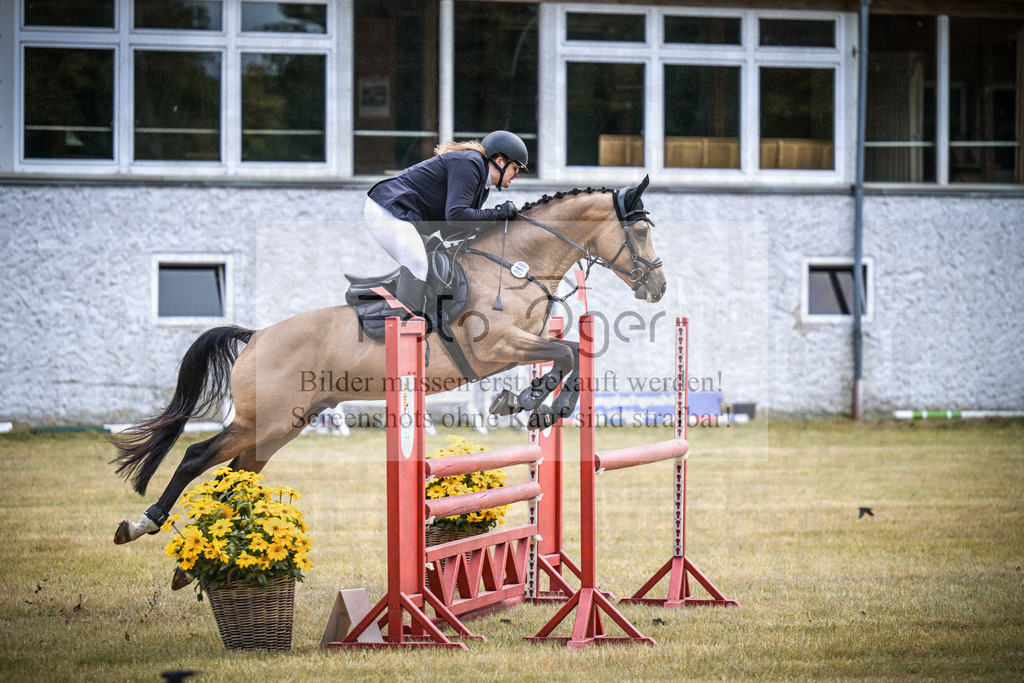 DOS_0469 | Entdecke hochwertige Reitturnierfotos von Foto Oger. Professionell, emotional und authentisch – jetzt Lieblingsmomente im Shop bestellen.Deutschlandweite Turnierfotografie. - Realisiert mit Pictrs.com