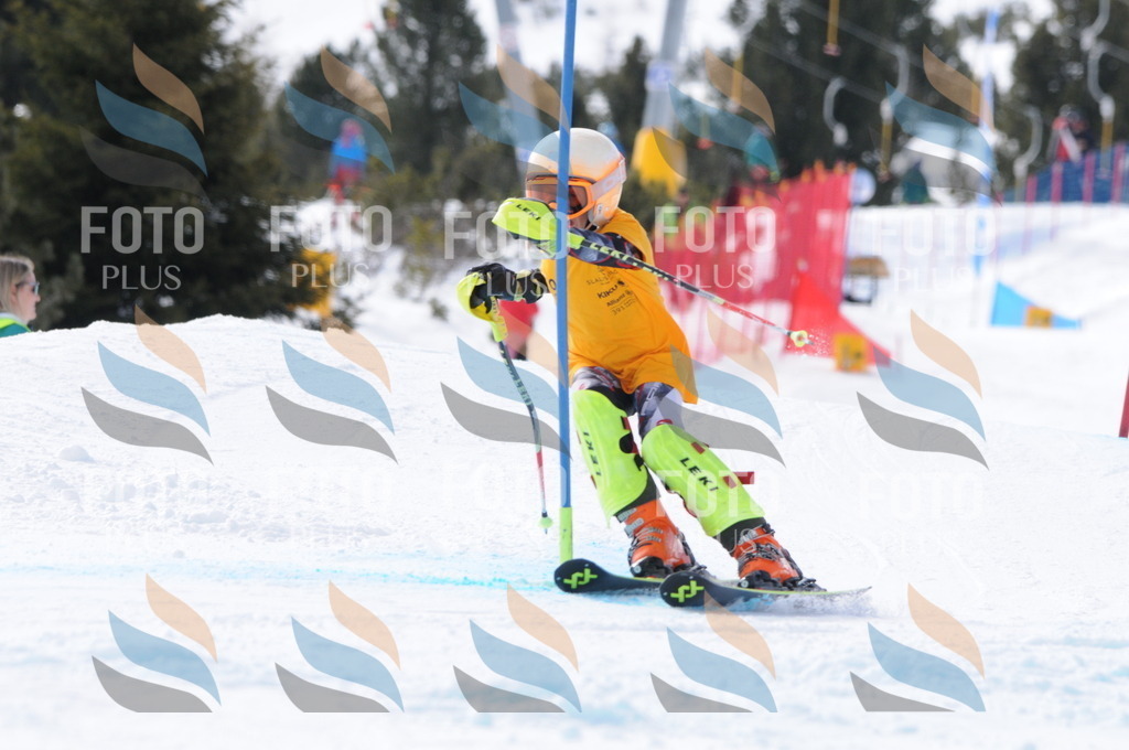 C7495 | holidayphoto