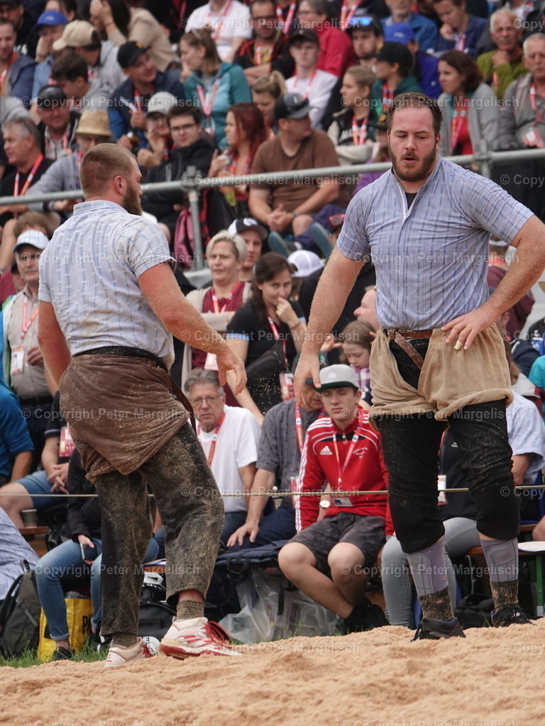 DSC04905 | Schwingen - Realisiert mit Pictrs.com