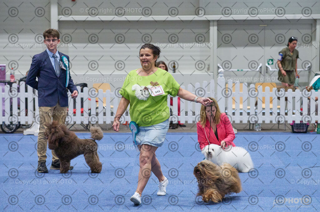 202406_ÖKV-IHA-Tulln24_DSC_3216 | proPHOTO - Realisiert mit Pictrs.com