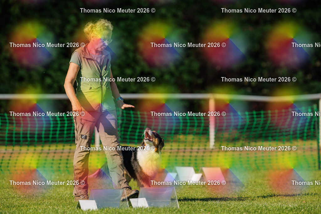 Thomas_Nico_Meuter(C)_04. Oktober 2026_223A3690 | Bild von Thomas Nico Meuter - Realisiert mit Pictrs.com