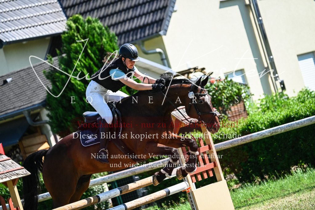 DSC_1496 | Pferde- und Turnierfotografie in Westsachsen. Pferdeportraits, Auftragszeichnungen und intuitive Kunst.