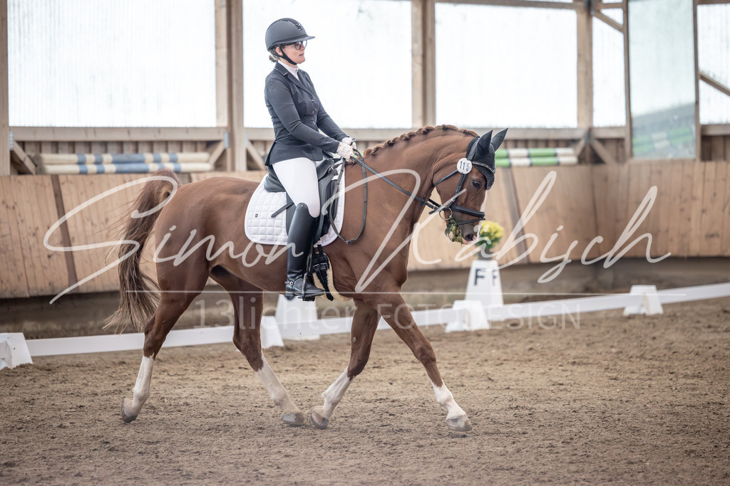 20251011-_3LI0339 | Tierfotografie Pferde, Hunde, Katzen, Haustiere.
Turnierfotografie Reitturniere, Reiten, Springreiten, Dressur in Hanau, dem Main-Kinzig-Kreis und dem Rhein-Main- Gebiet um Frankfurt