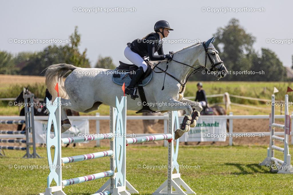 240831-VW-IS6A4128 | Sportfoto SH - Realisiert mit Pictrs.com