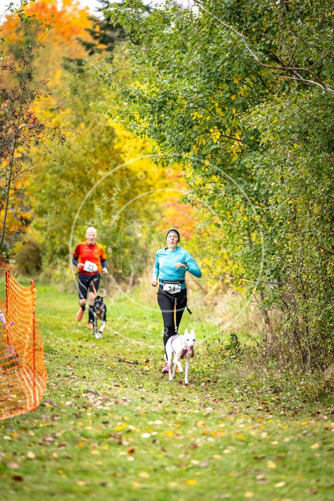 Pfotenfotografie_DV3A1946 | Hundefotografie, Tierfotograf, Pfotenfotografie, Fotoshooting Hund, Hunde Portrait, Hundesport, Hundeportraits, Heideshooting, Hunde, Sportfotograf, Hundefotograf, Turnierhundsport, THS,  - Realisiert mit Pictrs.com