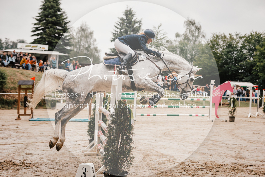 3I6A1991 | Stimmungsvolle Portraits und Reitsportfotografie im Ruhrgebiet und im Münsterland.

Pferdefotografie, Hundefotografie, Tierfotografie, Reportagen, Portraits von Tier und Mensch, Turnierfotografie in Bochum, Recklinghausen, Marl, Haltern am See, Dülmen.. - Realisiert mit Pictrs.com