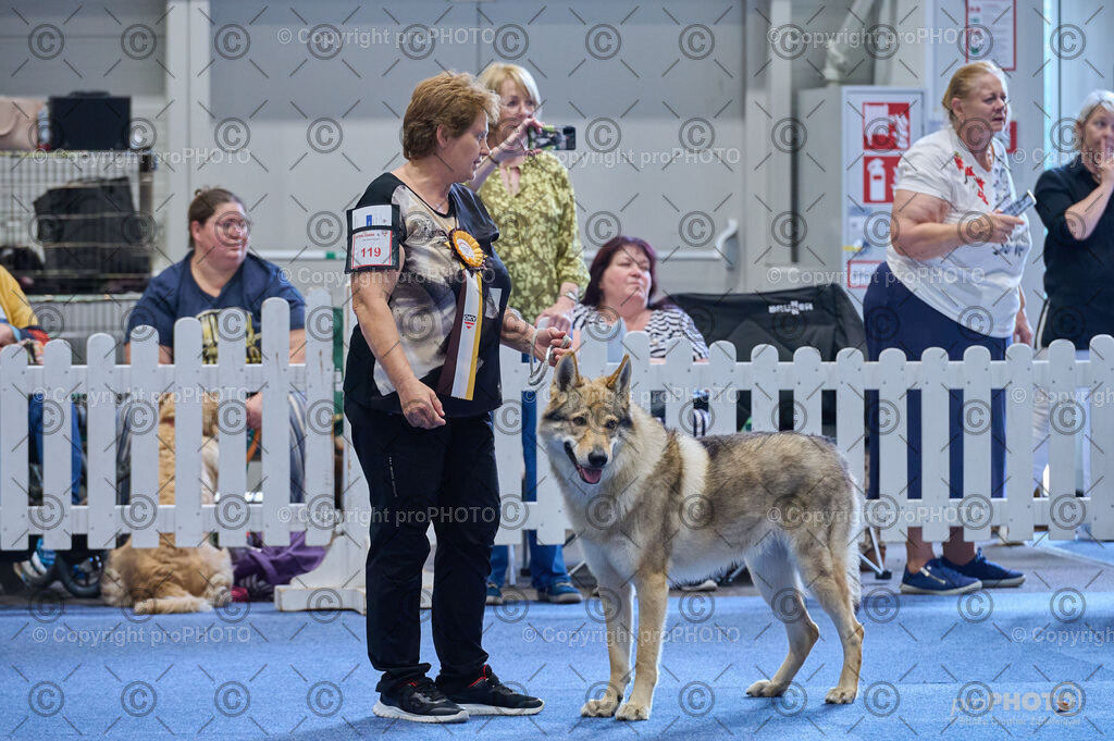 202406_ÖKV-IHA-Tulln24_DSC_4863 | proPHOTO - Realisiert mit Pictrs.com