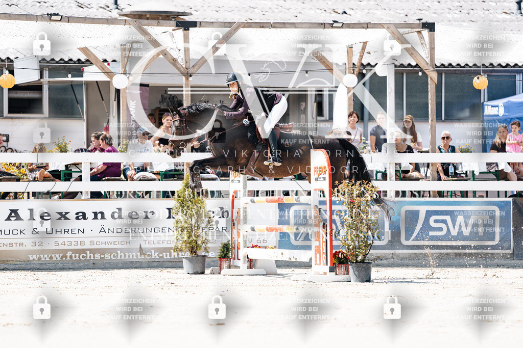 CK909432 | Turnierfotografie Pferdefotografie Trier Rheinland-Pfalz Pferdesport Reitsport Tierfotografie Sportfotografie Pferdevideo Pferdevideografie Equestrianvideography equestrianphotography  - Realisiert mit Pictrs.com