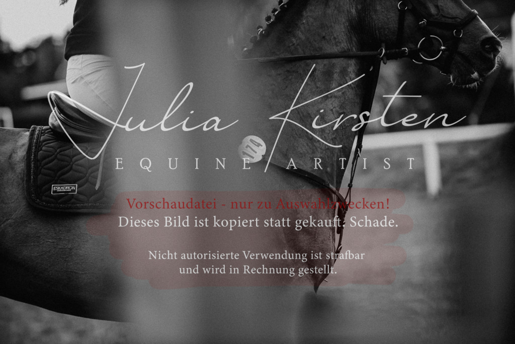 DSC_6691 | Pferde- und Turnierfotografie in Westsachsen. Pferdeportraits, Auftragszeichnungen und intuitive Kunst.