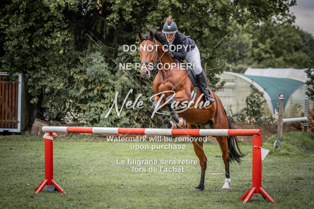 nelerasche_AmmDerbyEde_71 | nelerasche