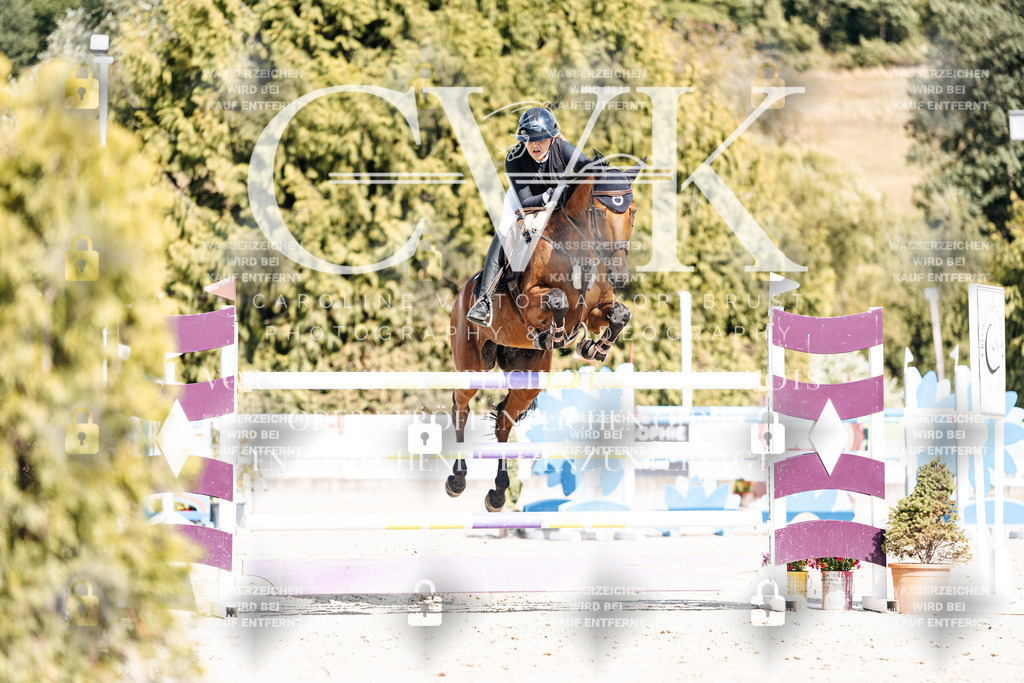 CK909061 | Turnierfotografie Pferdefotografie Trier Rheinland-Pfalz Pferdesport Reitsport Tierfotografie Sportfotografie Pferdevideo Pferdevideografie Equestrianvideography equestrianphotography  - Realisiert mit Pictrs.com